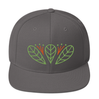 VERDES Leaf Emblem Hat